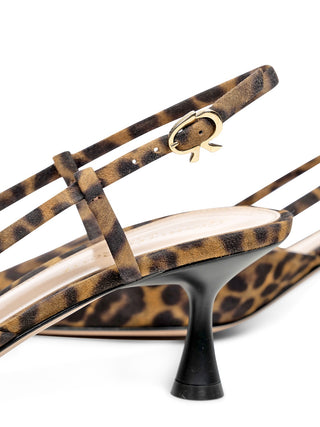 Ascent 55 in Leoparden-Optik