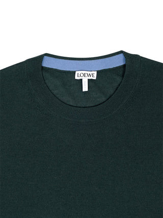Pullover aus Wolle
