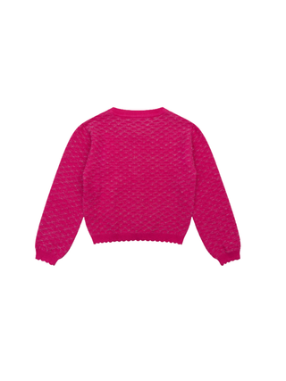 Vitamine Cardigan Beetroot Purrple