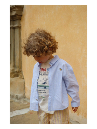 Wes Hemd Blue Stripe