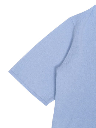Cashmere Blend Polo in Hellblau