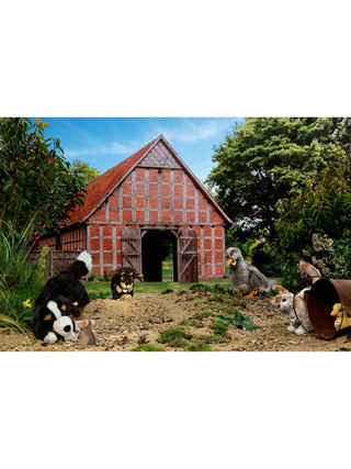 Senni Berner Sennenhund, 45 cm, liegend